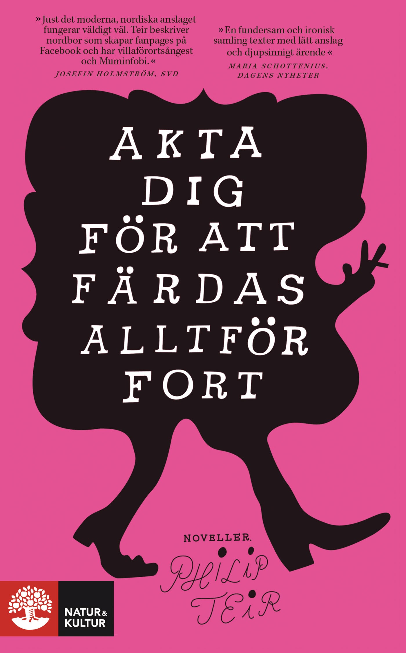 Akta dig för att färdas alltför fort – E-bok
