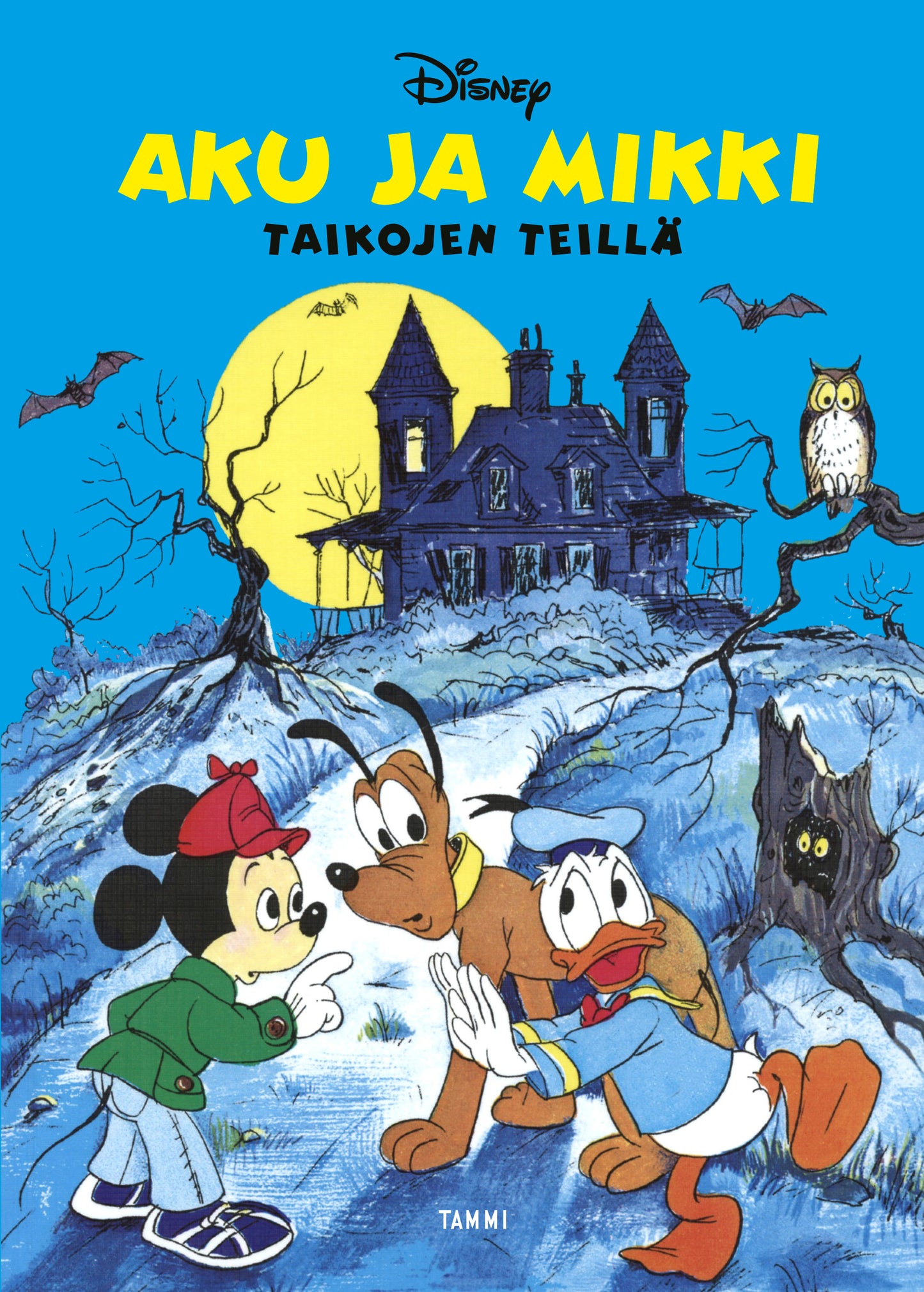 Aku ja Mikki taikojen teillä – E-bok
