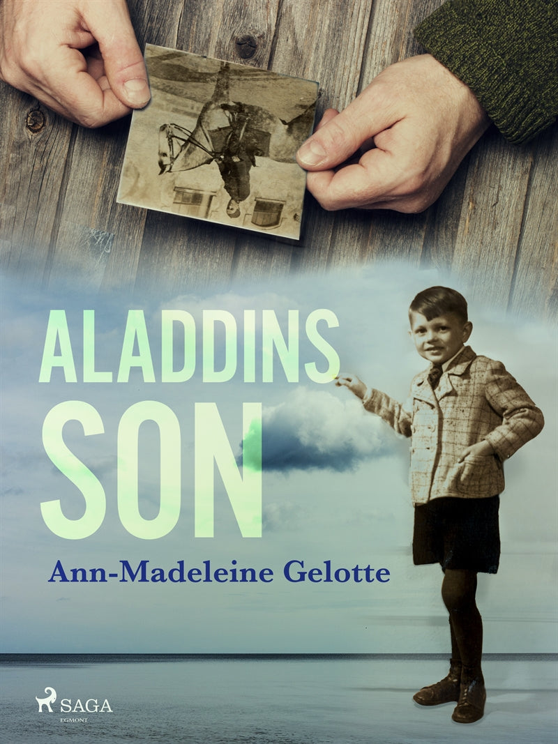 Aladdins son – E-bok