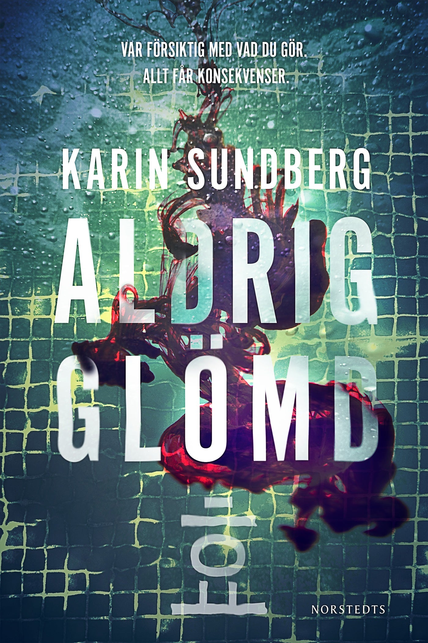 Aldrig glömd – E-bok