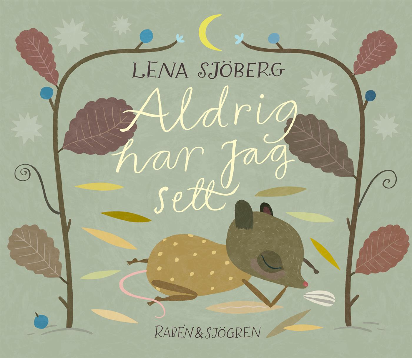 Aldrig har jag sett – E-bok