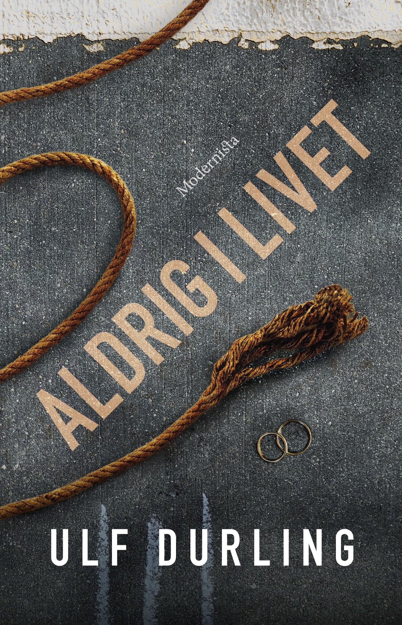 Aldrig i livet – E-bok