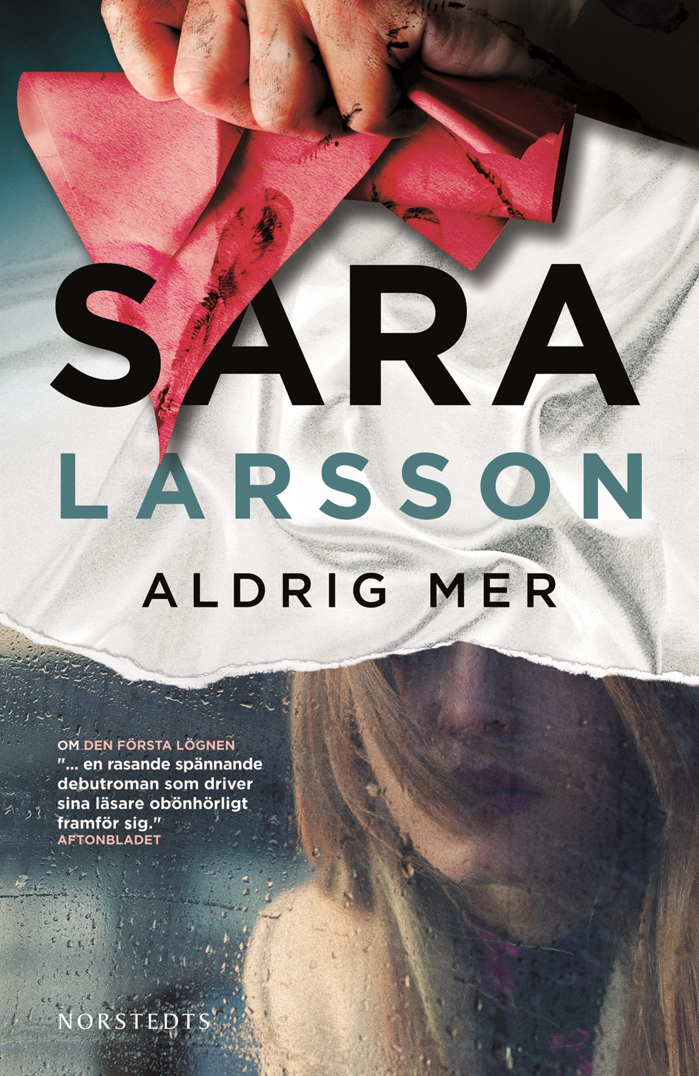 Aldrig mer – E-bok