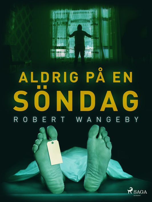 Aldrig på en söndag – E-bok