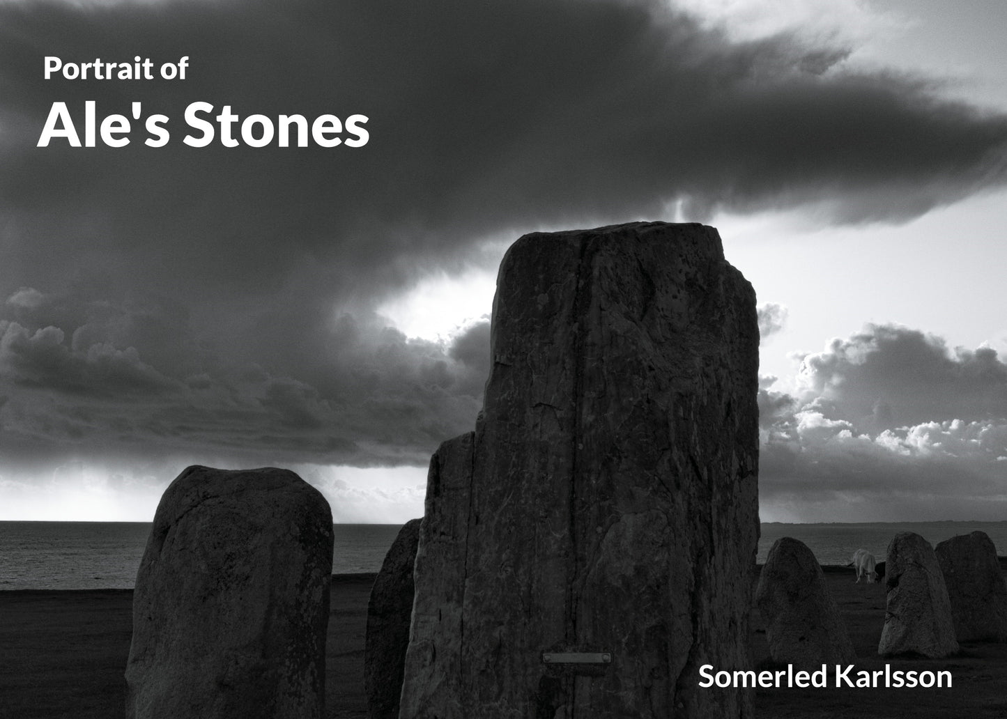 Ale's Stones: A study in Black and white – E-bok