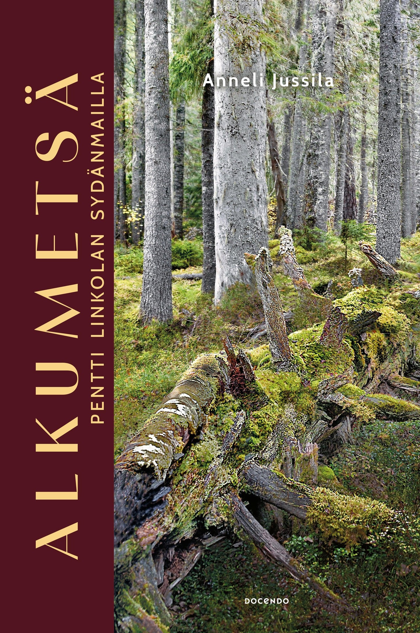 Alkumetsä – E-bok