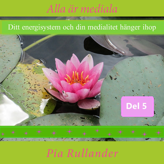 Alla är mediala. Ditt energisystem och din medialitet hänger ihop – Ljudbok