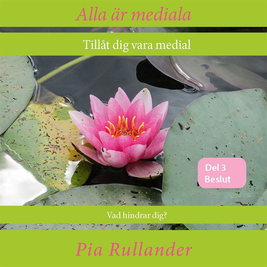 Alla är mediala. Tillåt dig vara medial: Vad hindrar dig? Att fatta beslut – Ljudbok