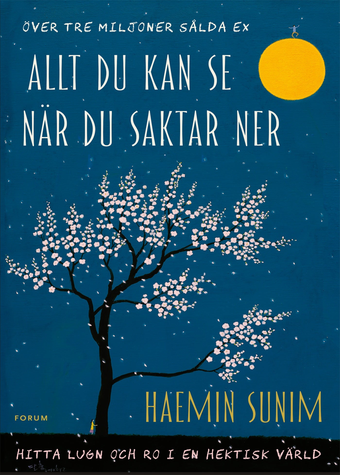 Allt du kan se när du saktar ner : hitta lugn och ro i en hektisk värld – E-bok