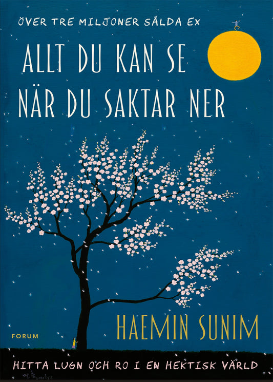 Allt du kan se när du saktar ner : hitta lugn och ro i en hektisk värld – E-bok