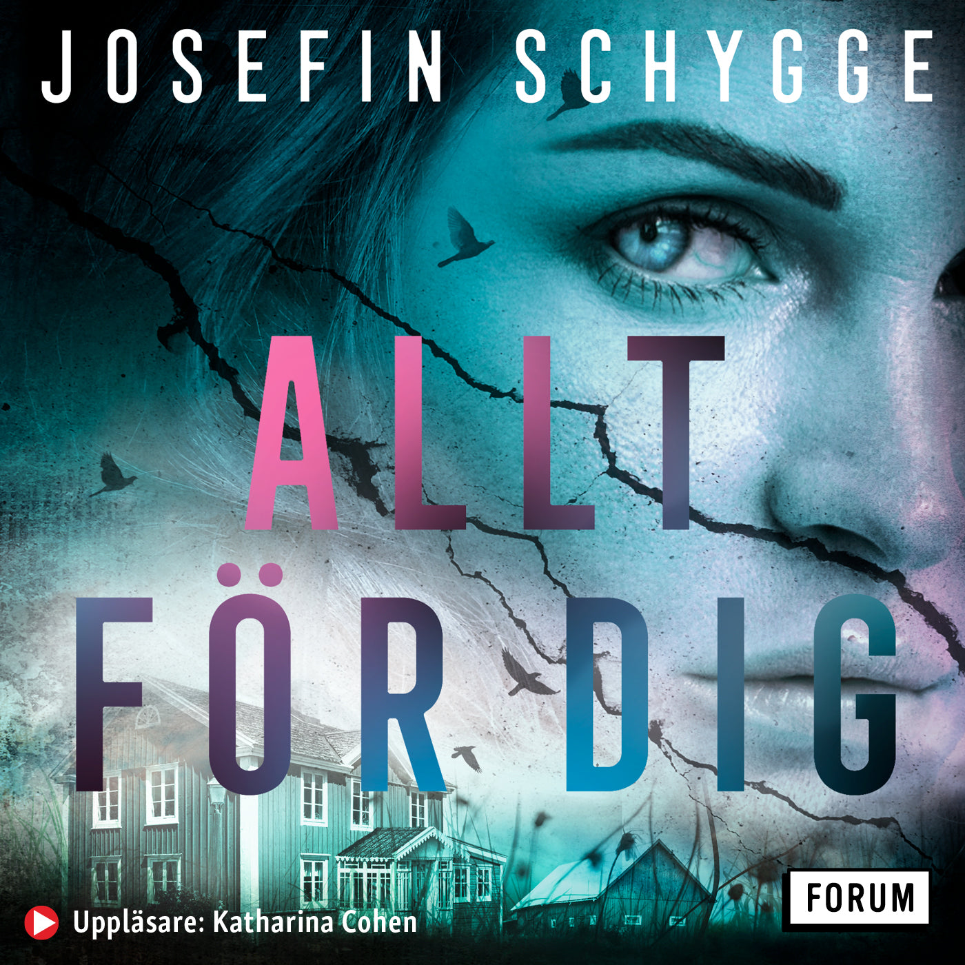 Allt för dig – Ljudbok