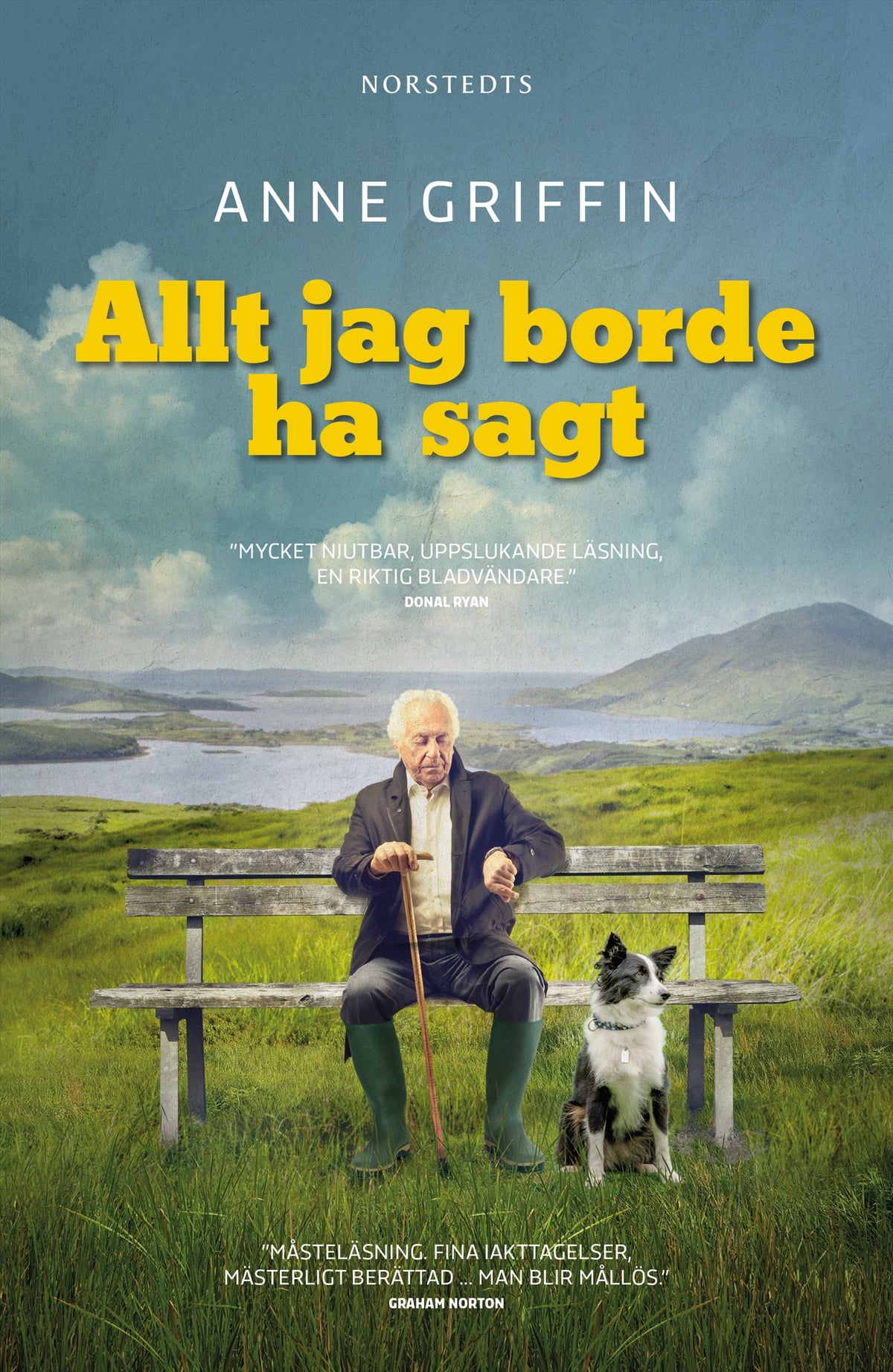 Allt jag borde ha sagt – E-bok
