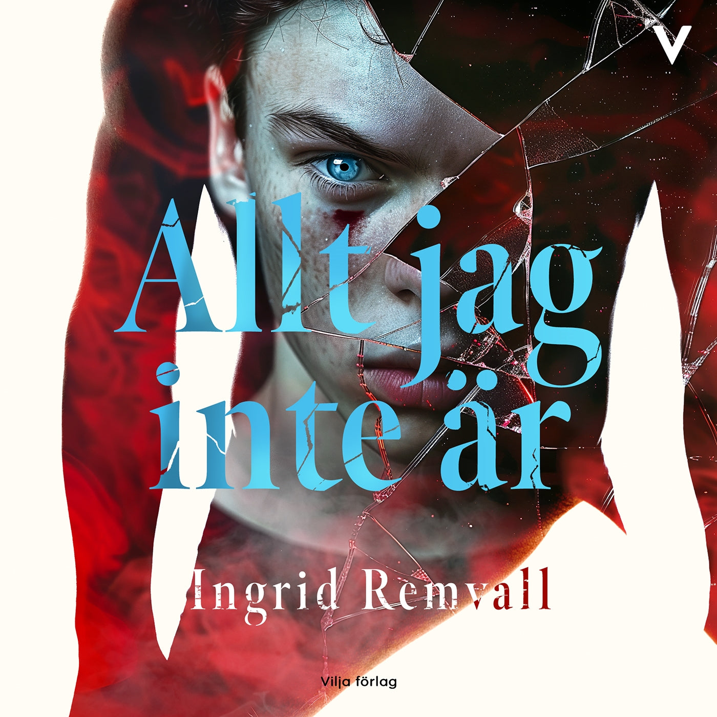 Allt jag inte är – Ljudbok