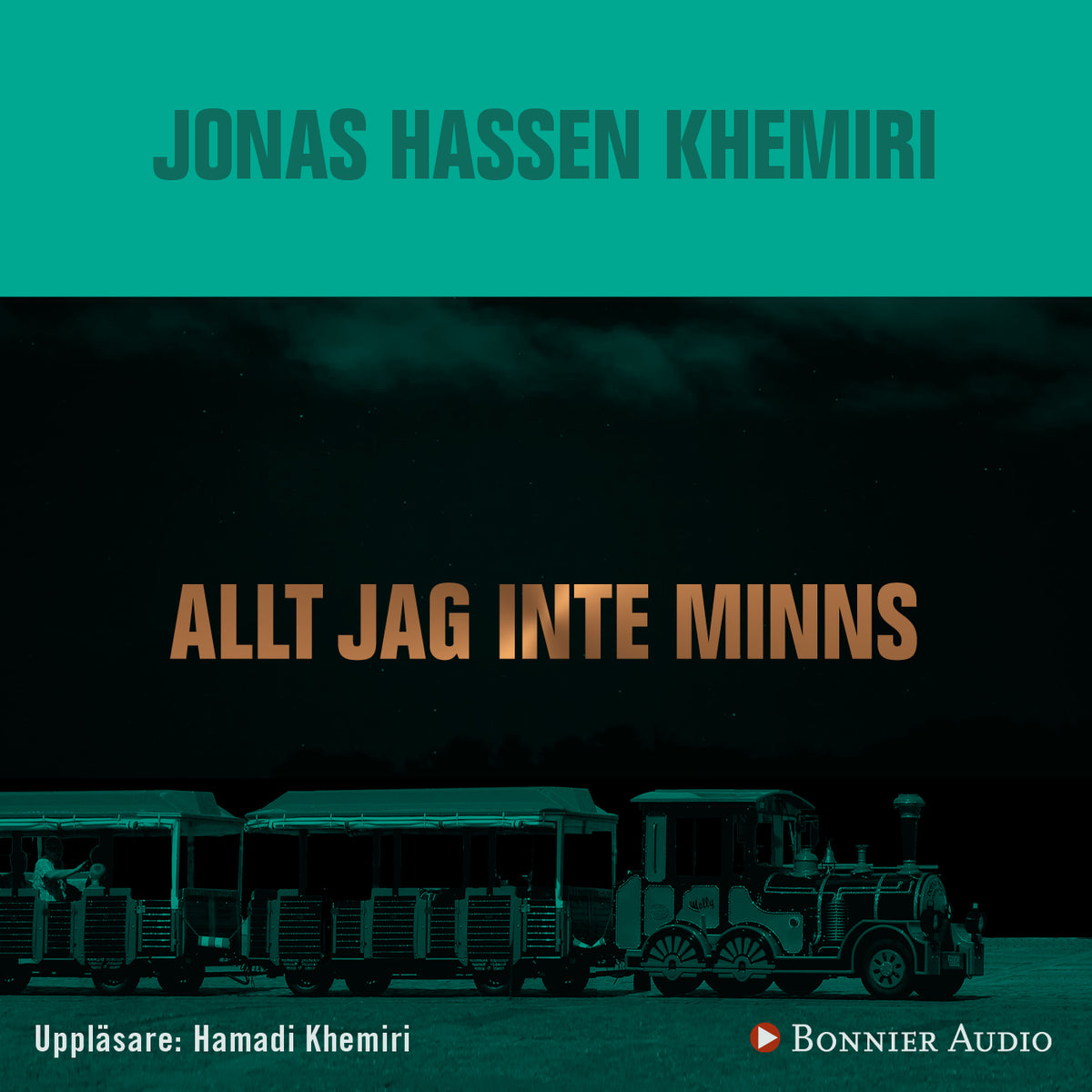 Allt jag inte minns – Ljudbok