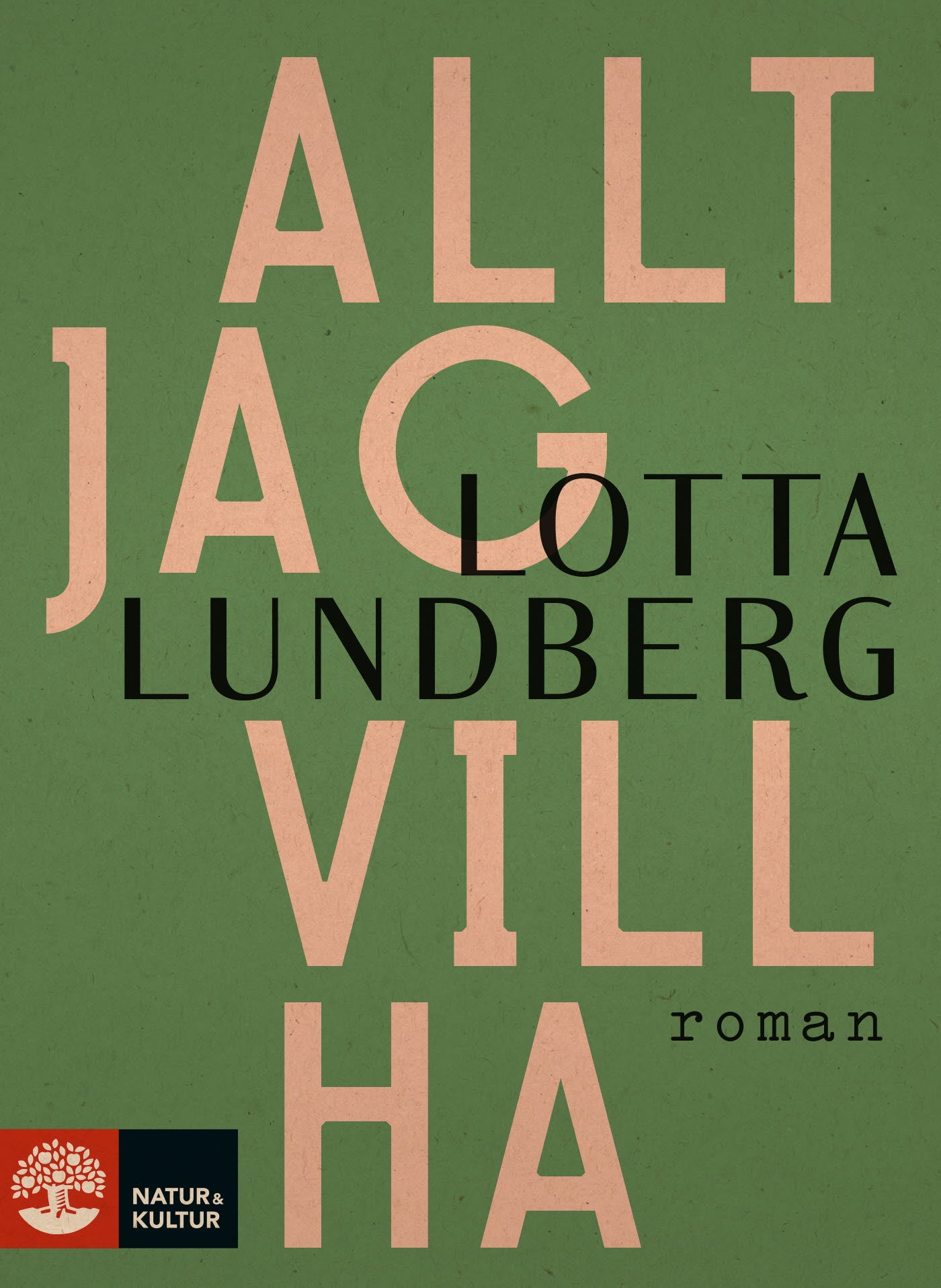 Allt jag vill ha – E-bok