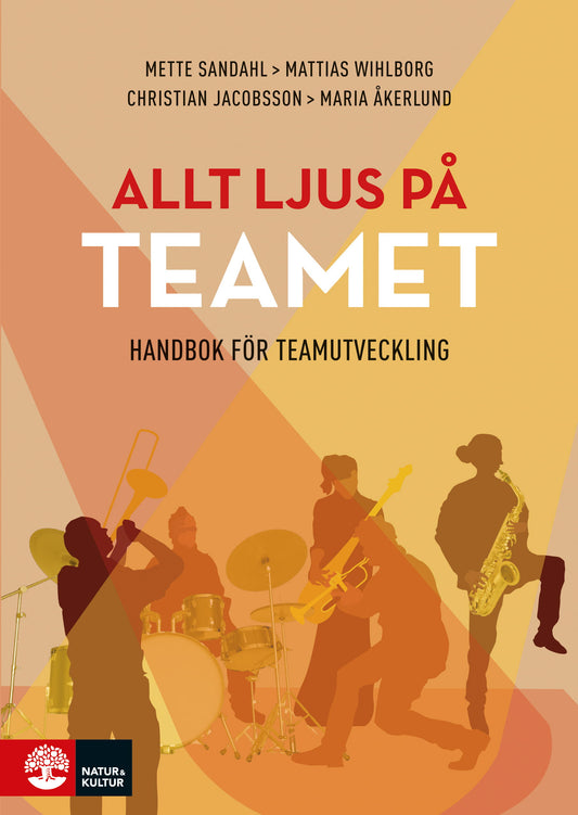 Allt ljus på teamet : en handbok för teamutveckling – E-bok
