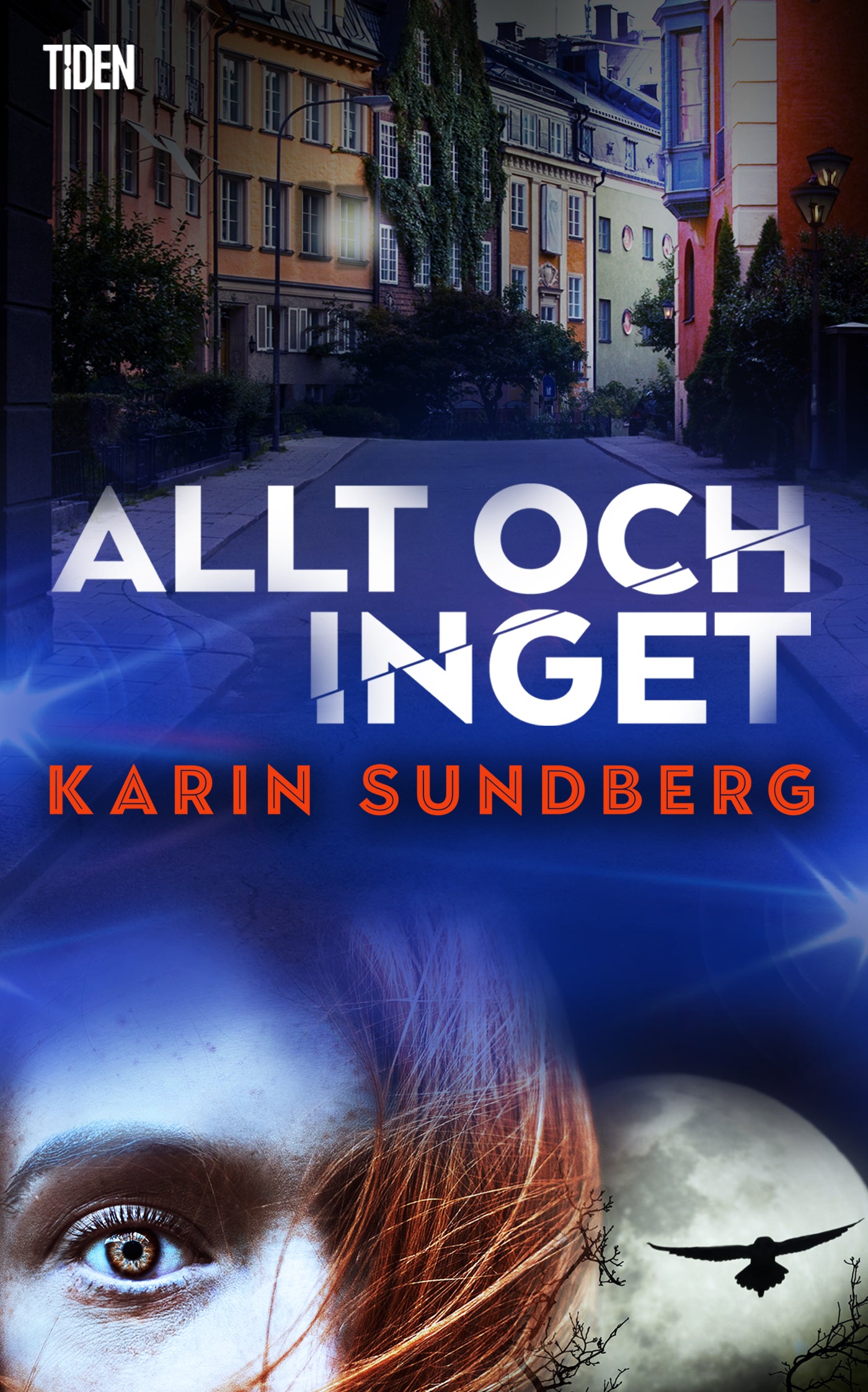 Allt och inget – E-bok