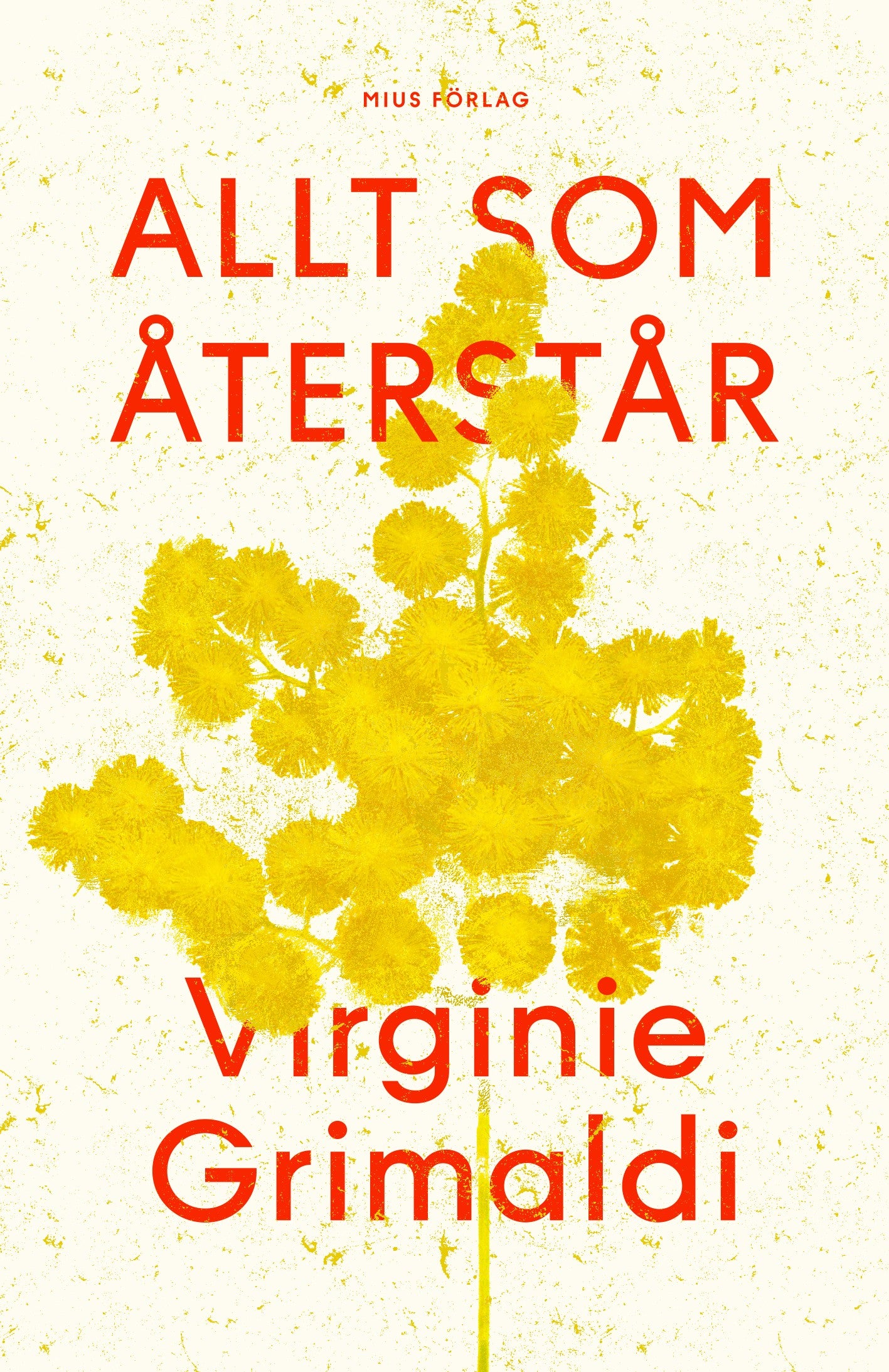 Allt som återstår – E-bok