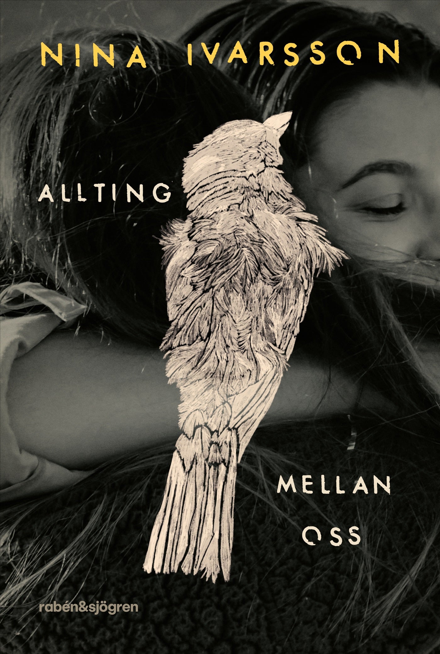 Allting mellan oss – E-bok