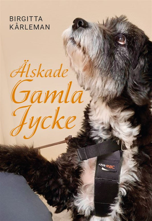 Älskade gamla jycke – E-bok