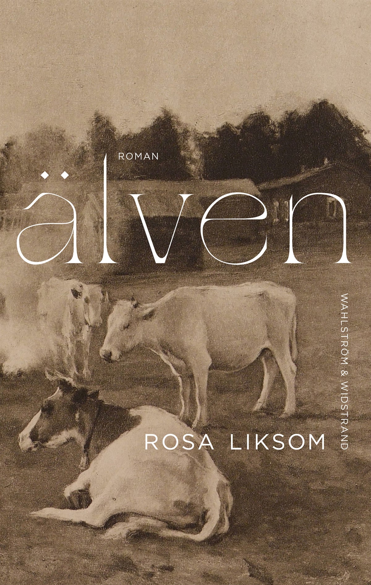 Älven – E-bok