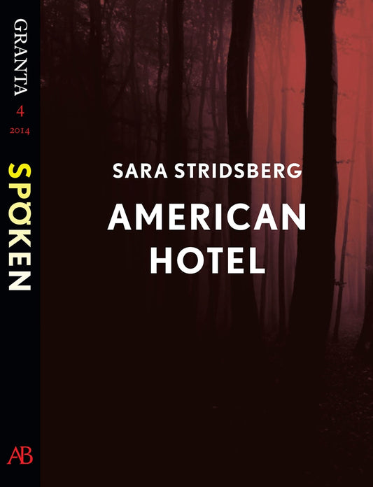 American Hotel : en e-singel ur Granta #4 – E-bok