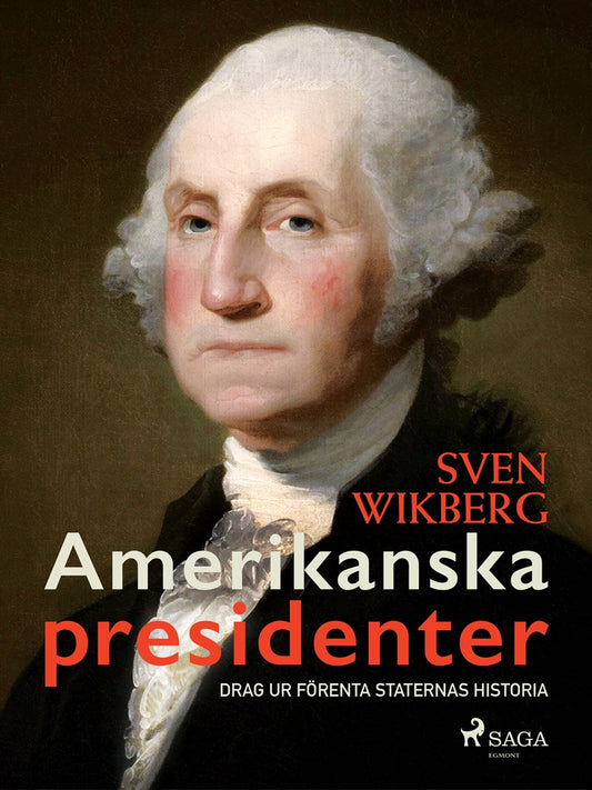Amerikanska presidenter : drag ur Förenta staternas historia – E-bok