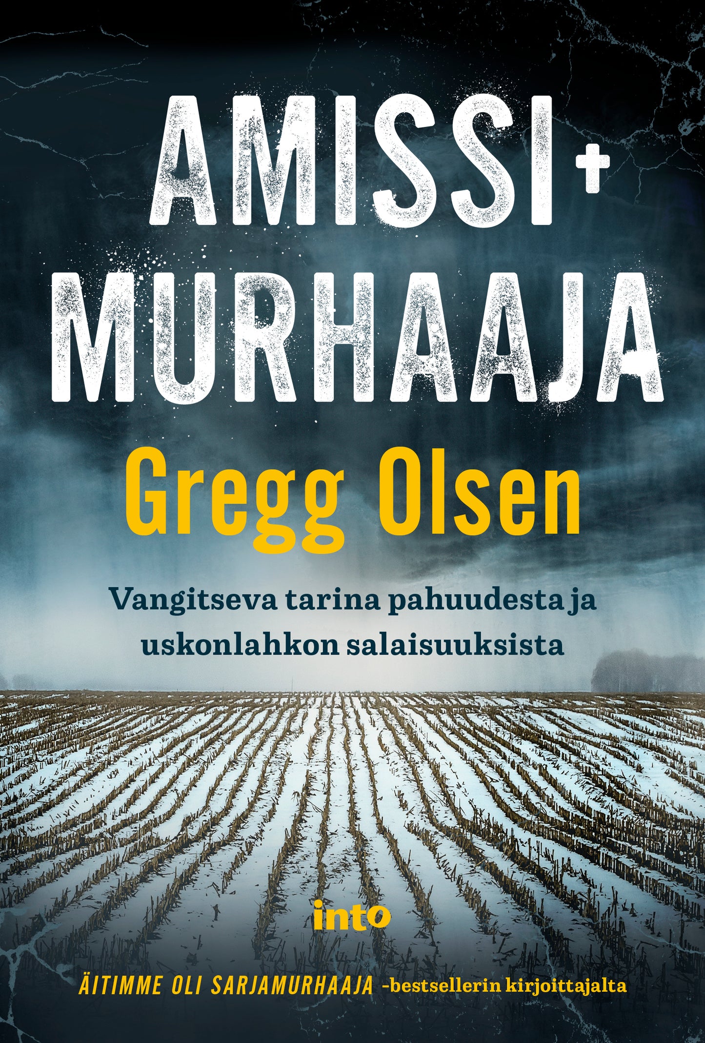 Amissimurhaaja – E-bok