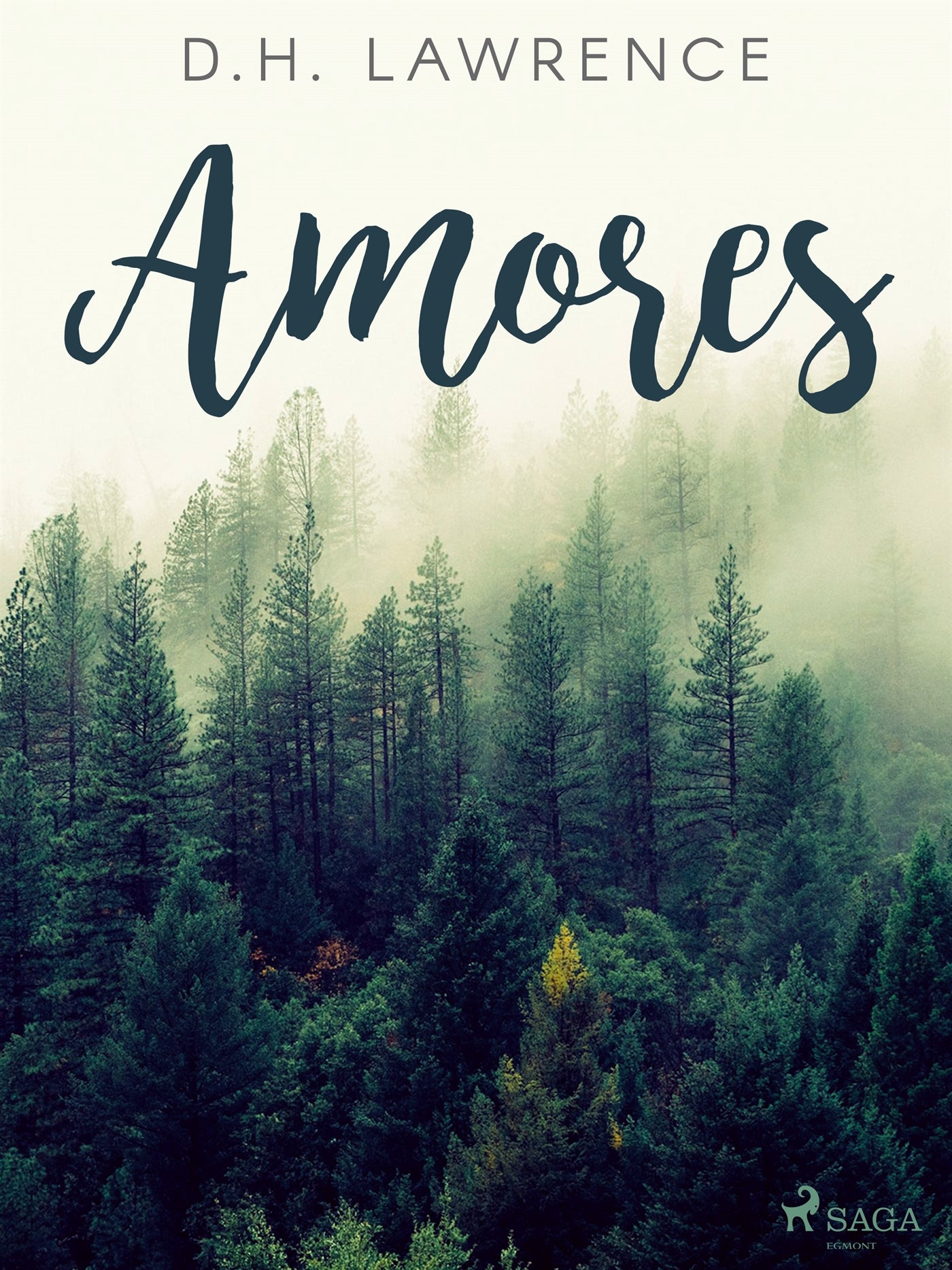 Amores – E-bok