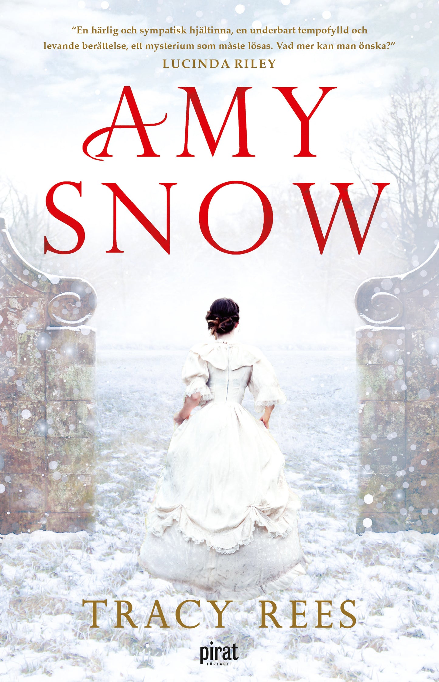 Amy Snow – E-bok