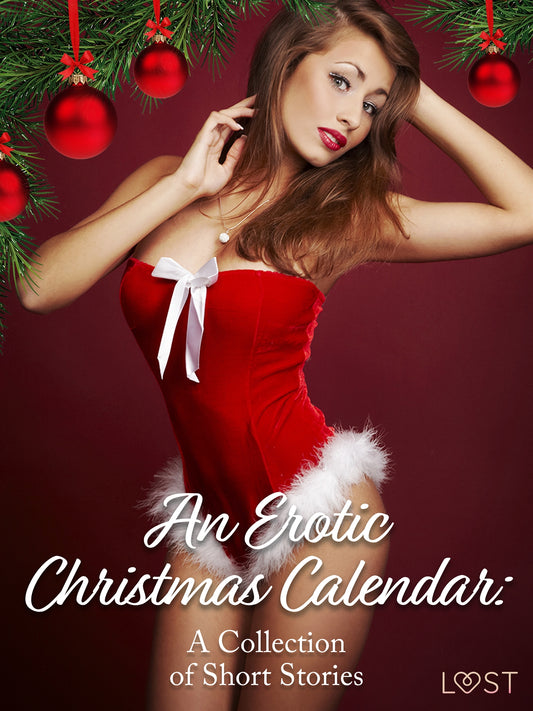An Erotic Christmas Calendar: A Collection of Short Stories – E-bok