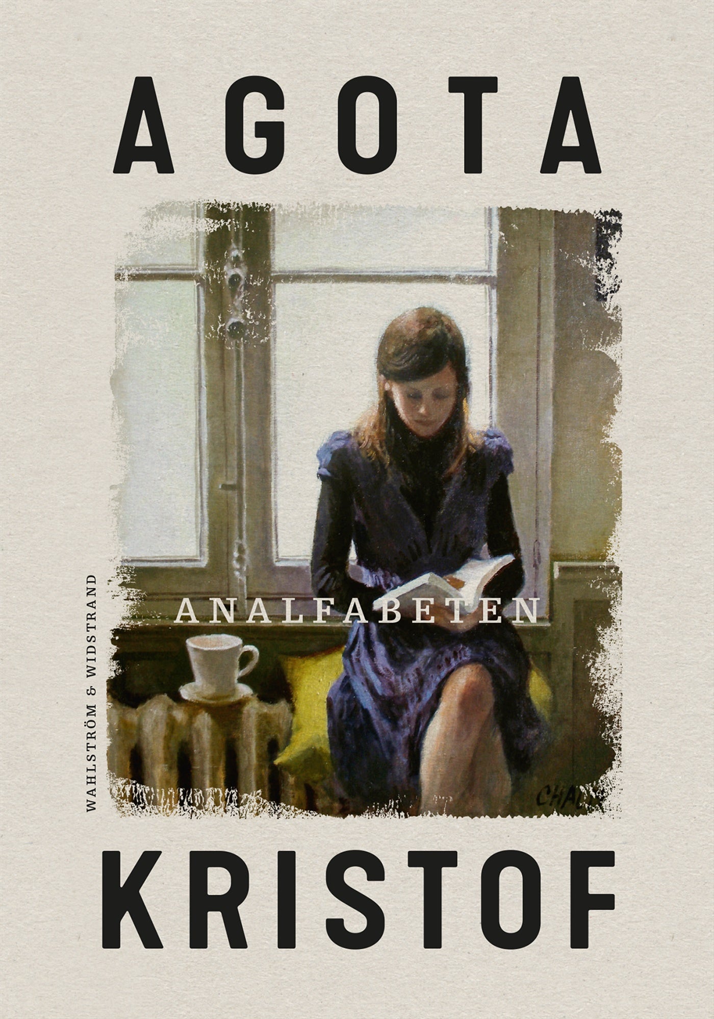 Analfabeten – E-bok