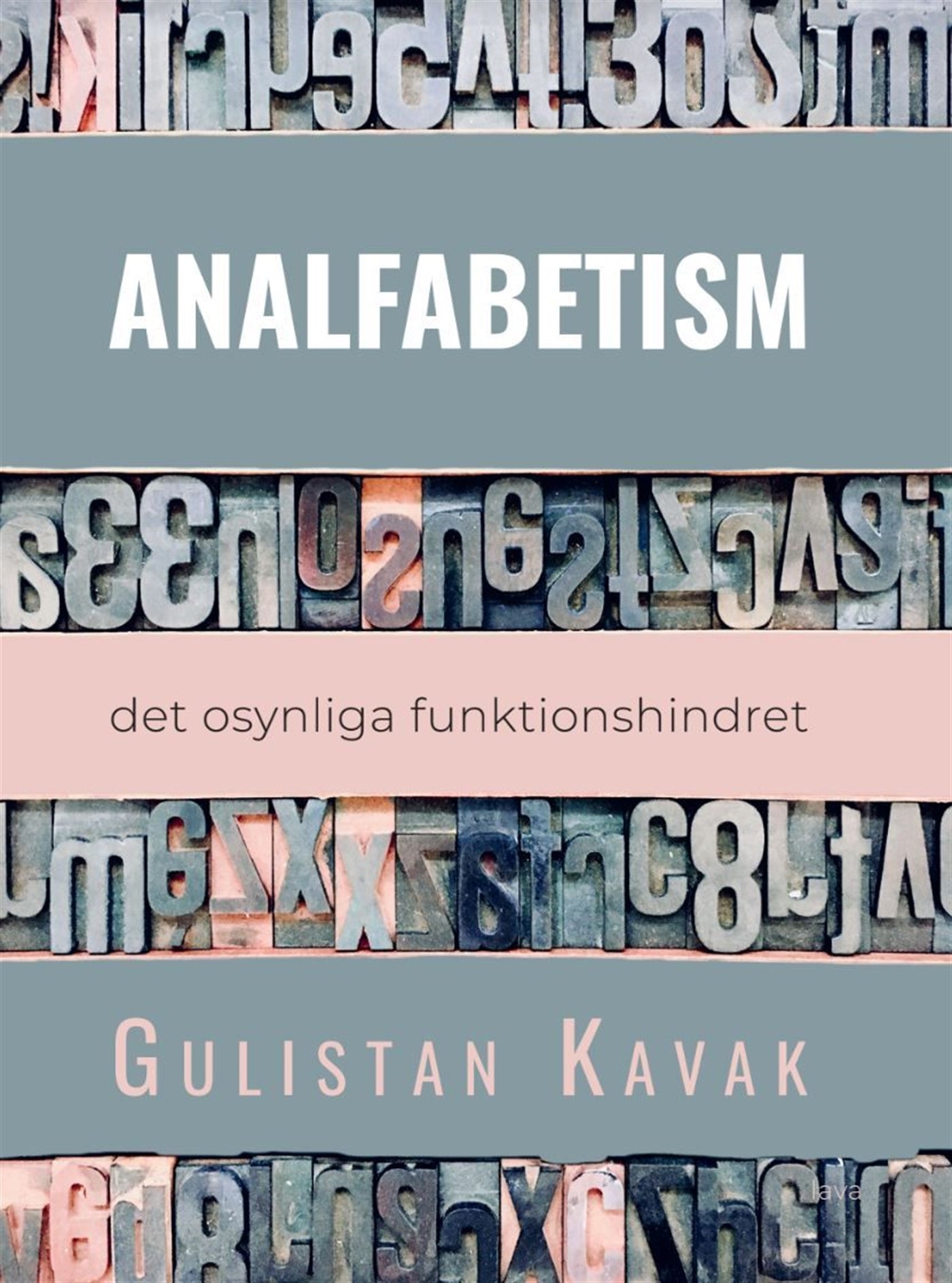 Analfabetism : det osynliga funktionshindret – E-bok