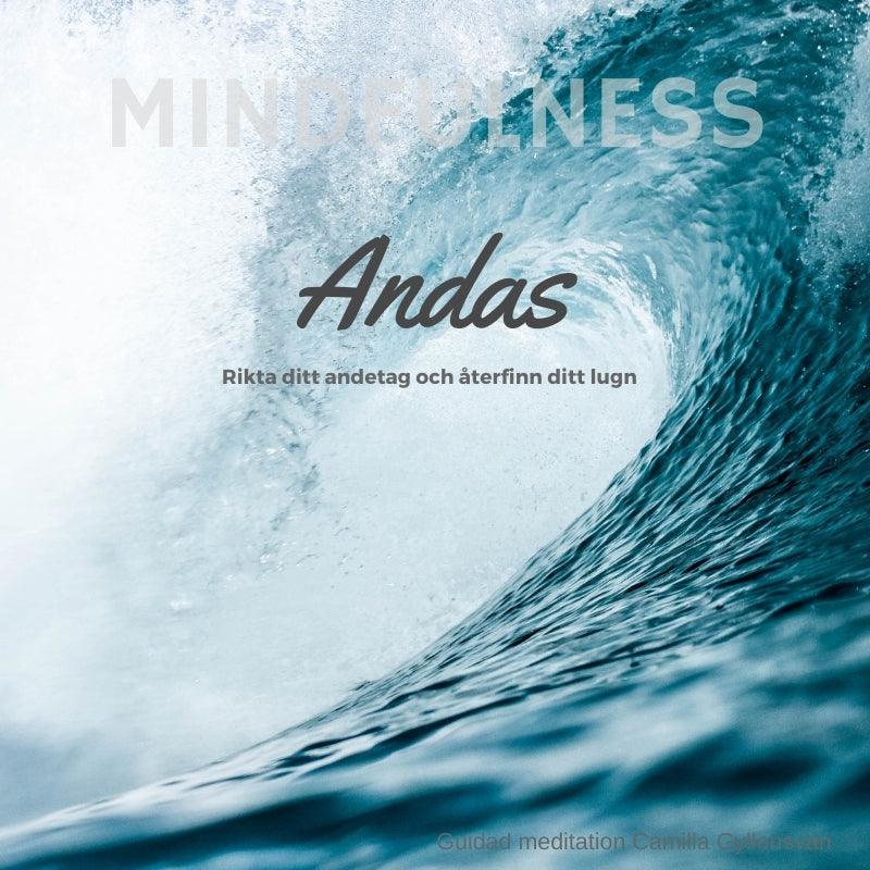 Andas – Ljudbok