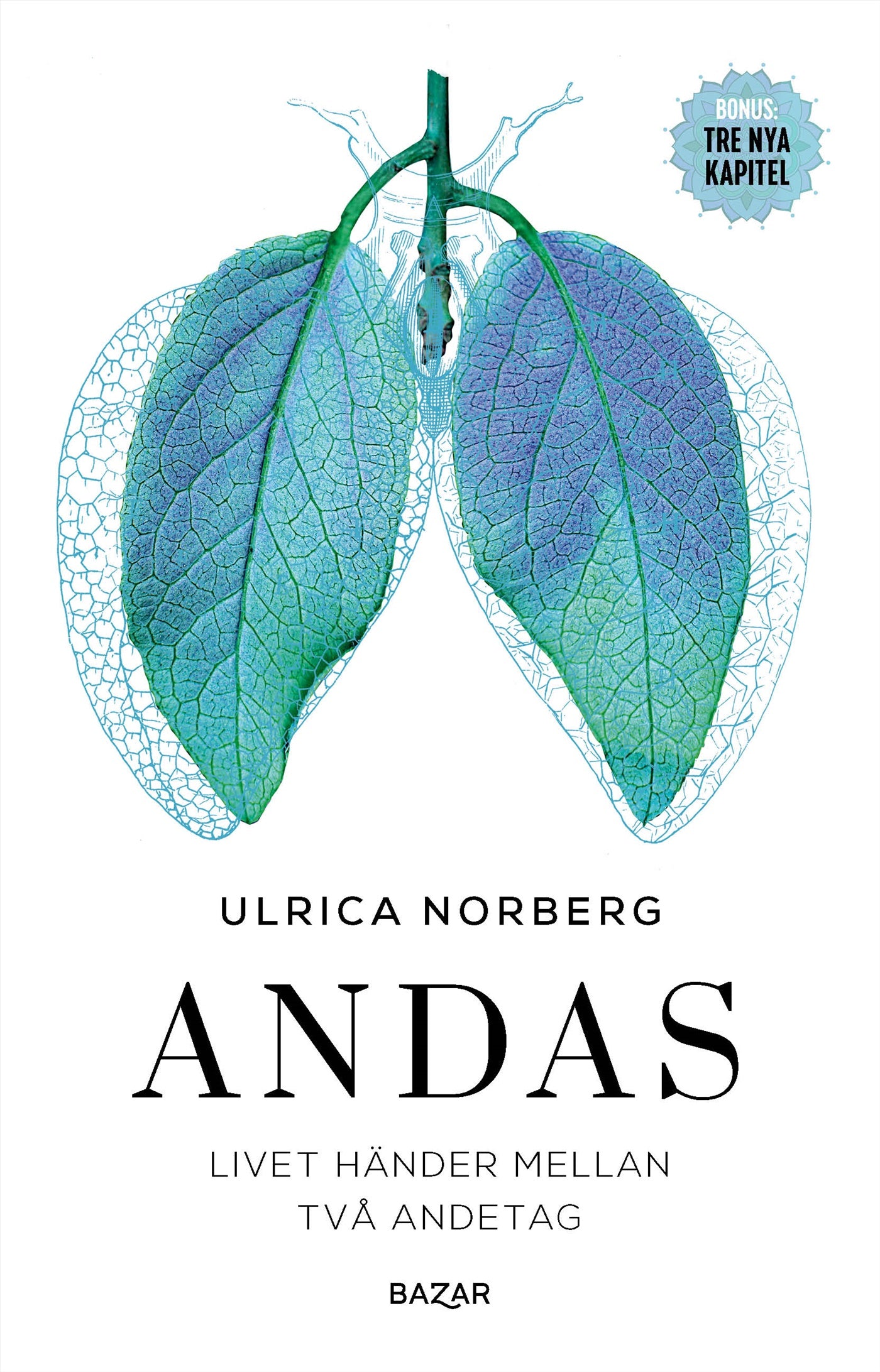 Andas : livet händer mellan två andetag – E-bok
