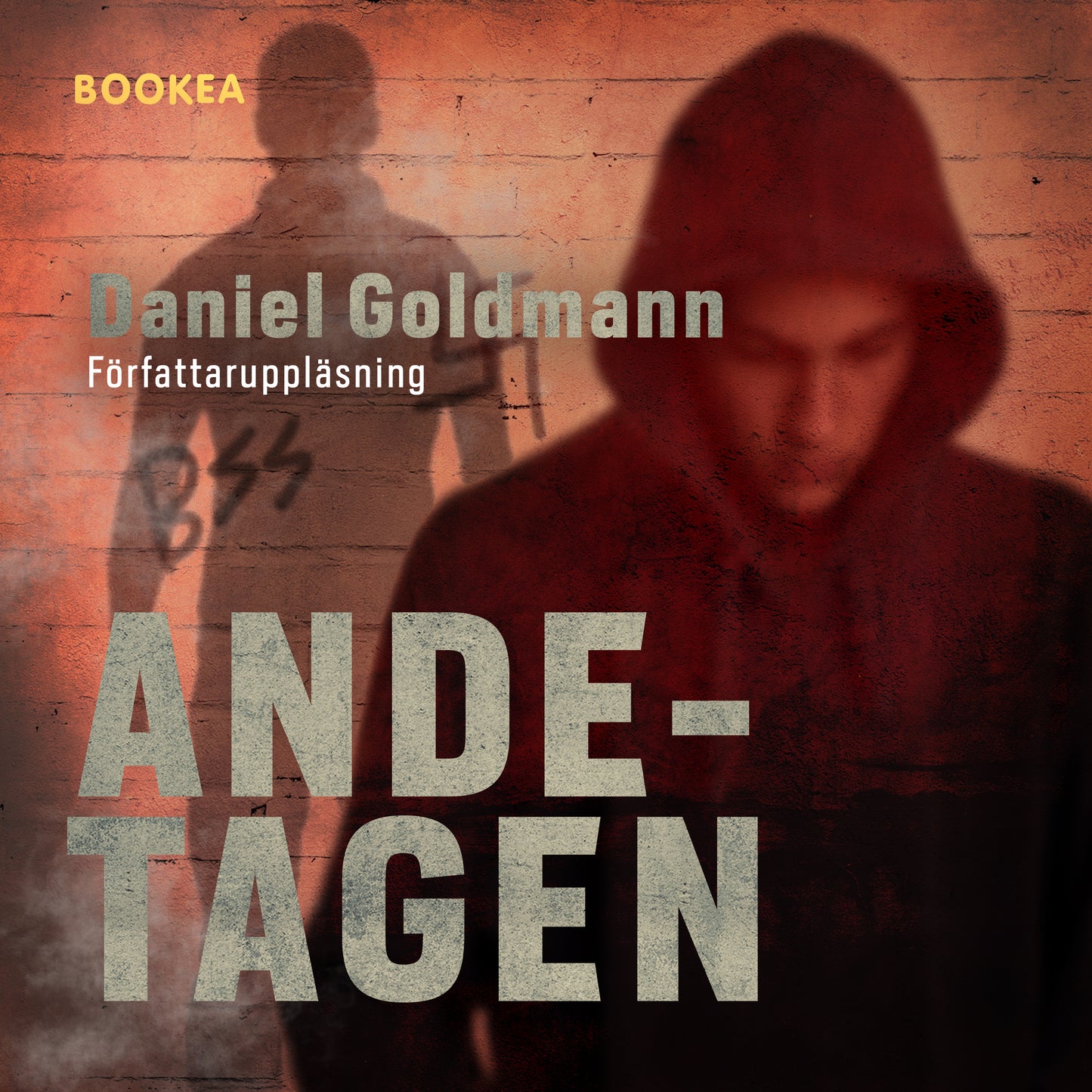 Ande-tagen – Ljudbok