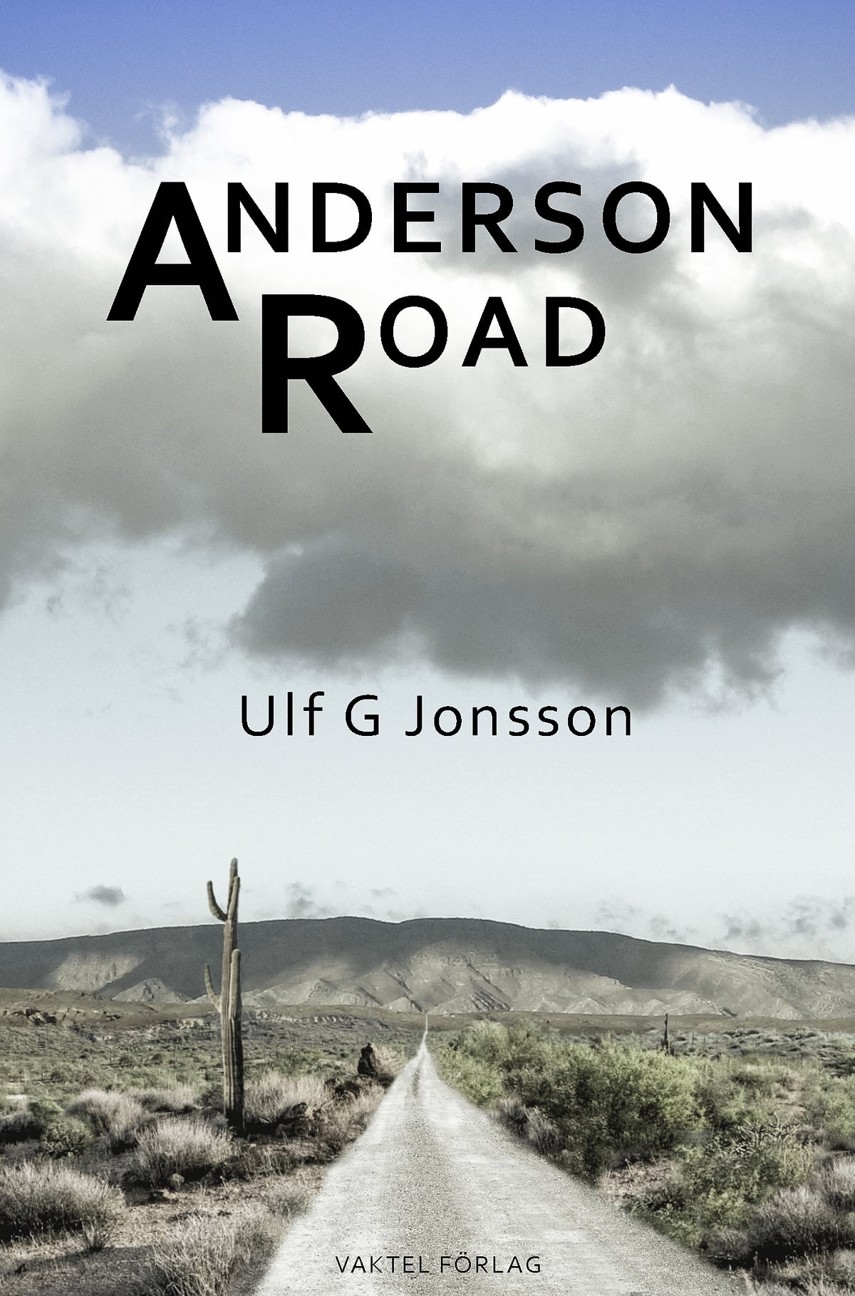 Anderson Road – E-bok