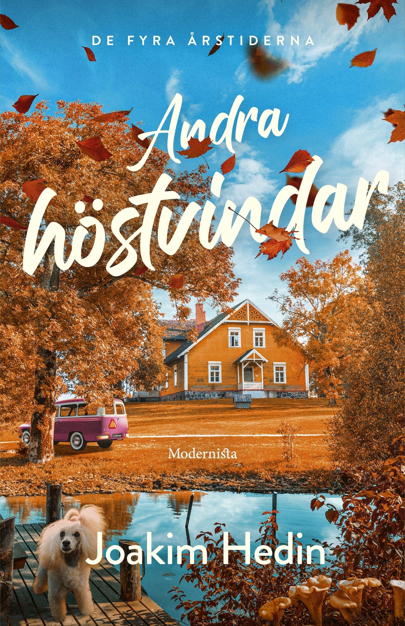 Andra höstvindar – E-bok