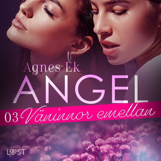 Angel 3: Väninnor emellan - Erotisk novell – Ljudbok