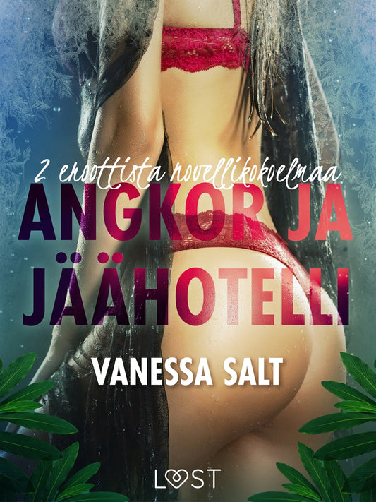 Angkor ja Jäähotelli: 2 eroottista novellikokoelmaa Vanessa Saltilta – E-bok