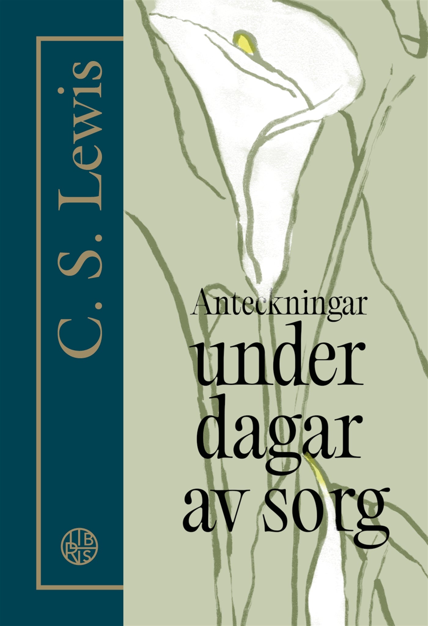 Anteckningar under dagar av sorg – E-bok