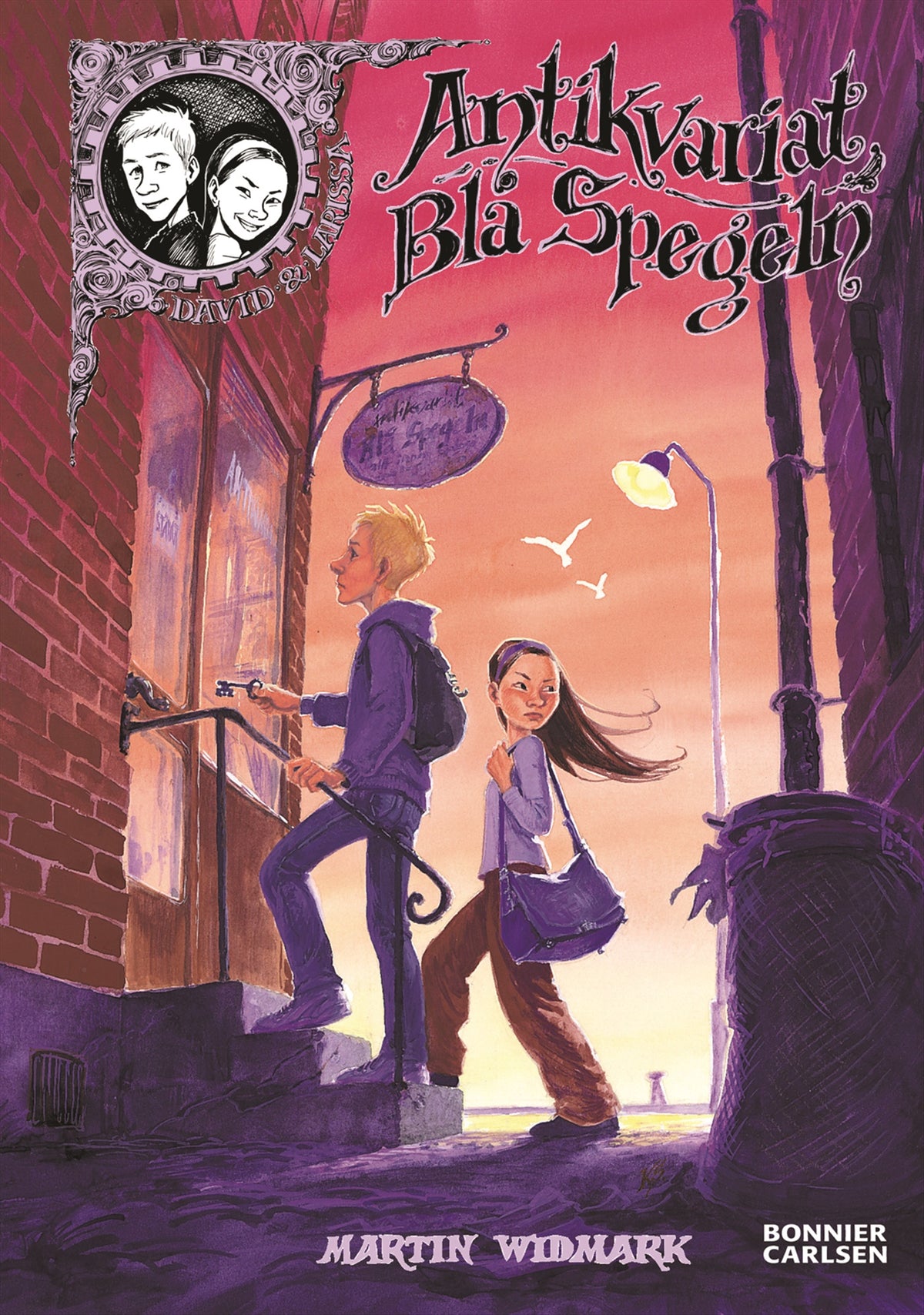 Antikvariat Blå Spegeln – E-bok