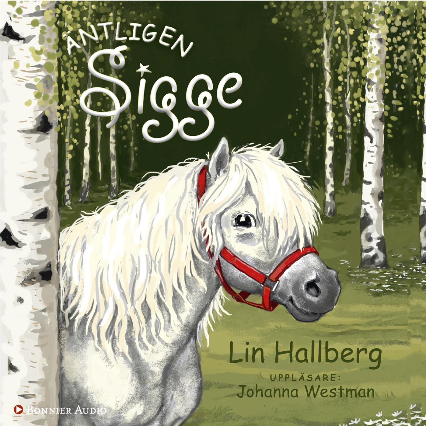Äntligen Sigge  – Ljudbok