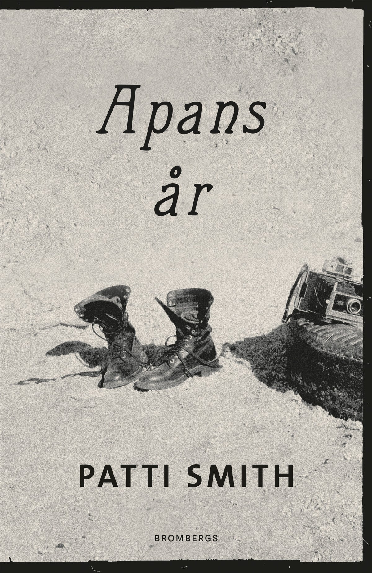 Apans år – E-bok