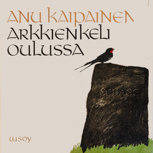 Arkkienkeli Oulussa – Ljudbok