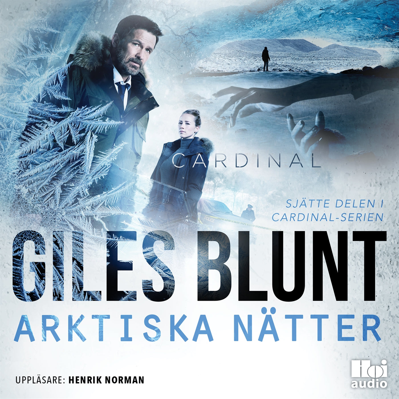 Arktiska nätter – Ljudbok