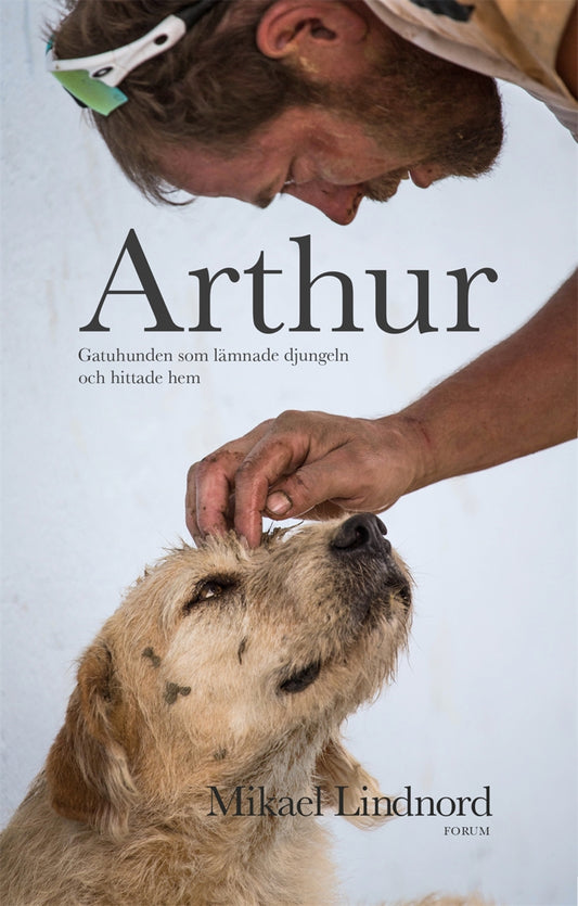 Arthur : gatuhunden som lämnade djungeln och hittade hem – E-bok