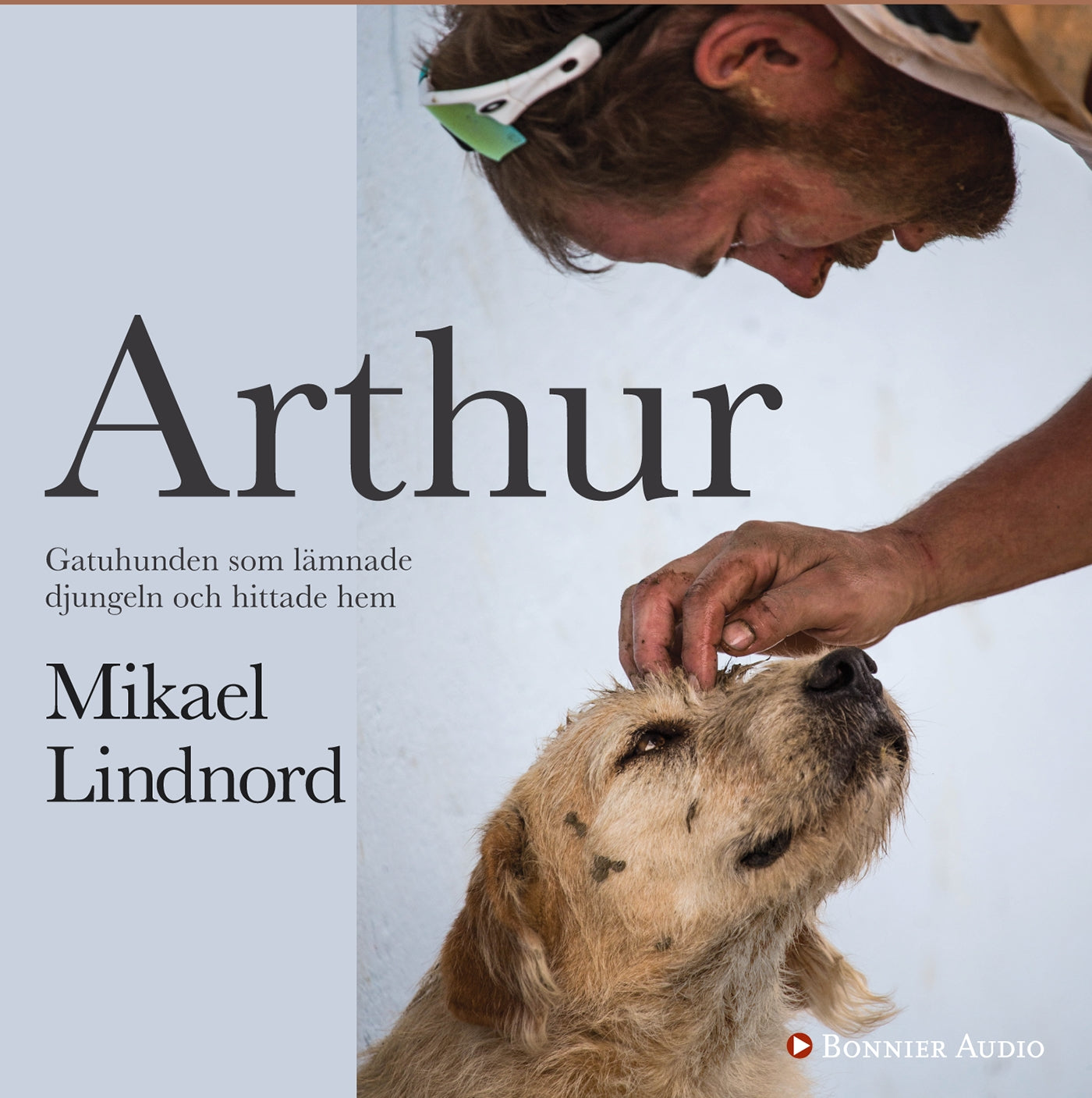Arthur : gatuhunden som lämnade djungeln och hittade hem – Ljudbok