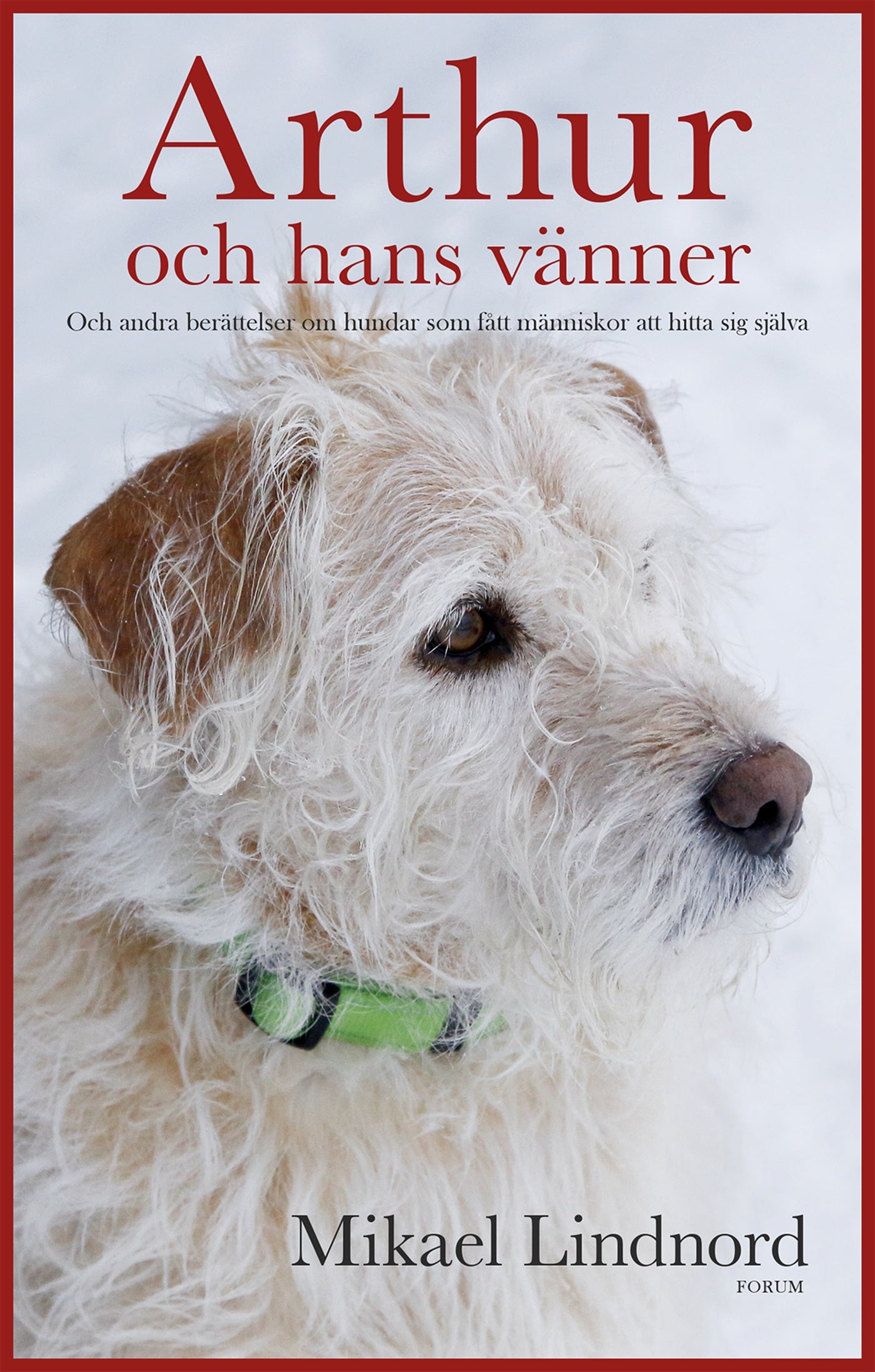 Arthur och hans vänner : och andra berättelser om hundar som fått människor att hitta sig själva – E-bok