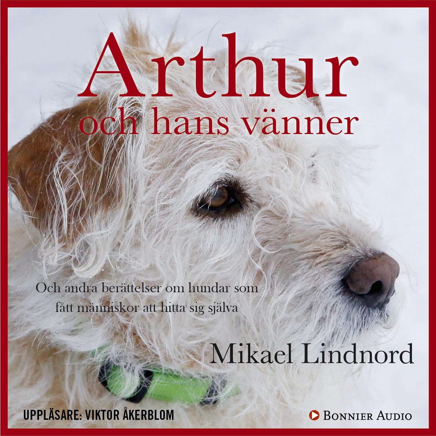 Arthur och hans vänner : och andra berättelser om hundar som fått människor att hitta sig själva – Ljudbok